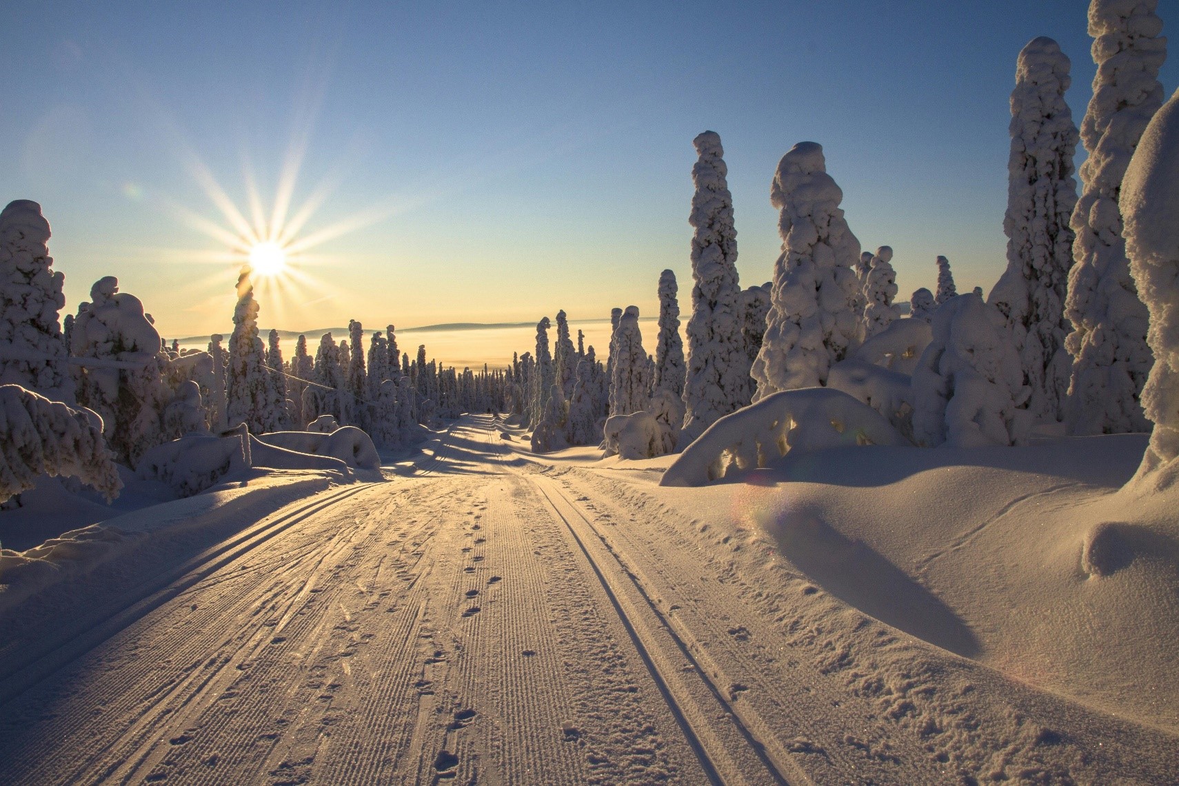 NORTHERN LIGHTS EXPLORER LAPLAND